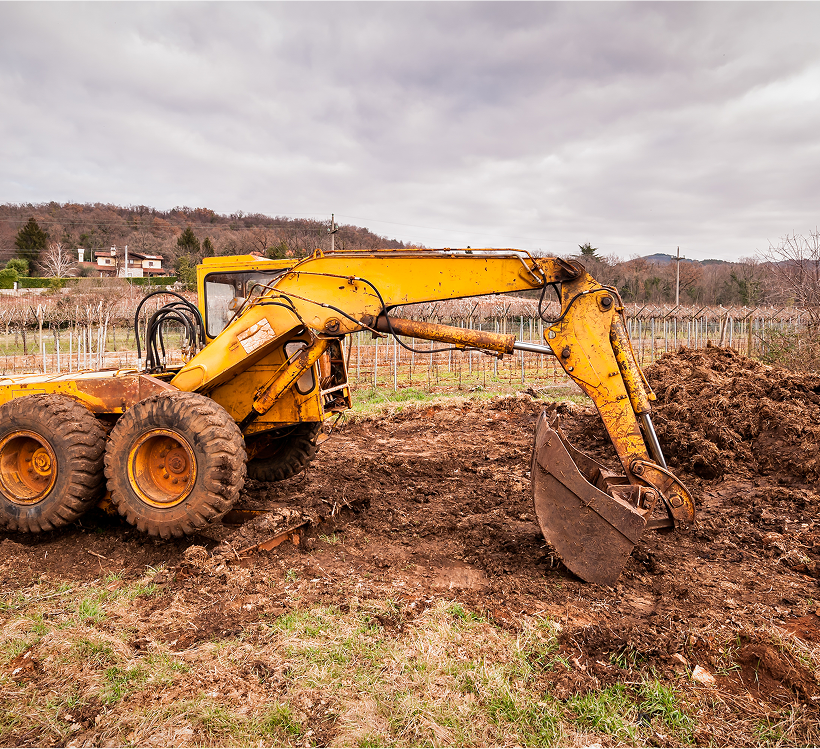 iStock 905902112 (1)